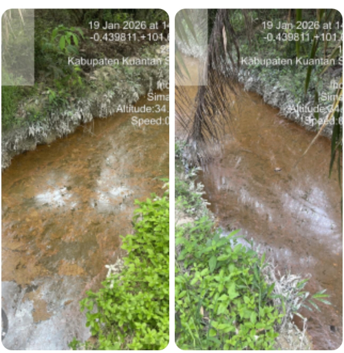 Kuansing Darurat Lingkungan, PKS Terduga Pencemar Terancam Ditutup Bupati