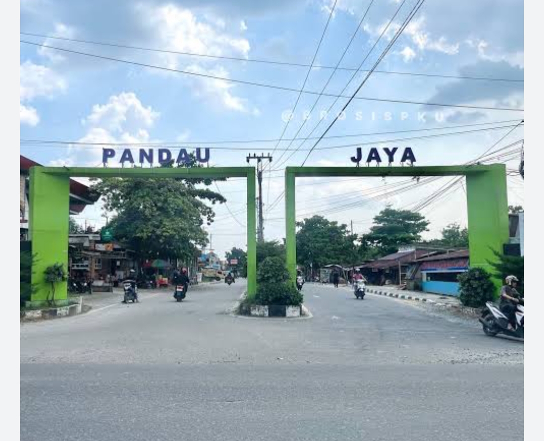 Situasi di Pandau Jaya Kampar Tidak Kondusif, Polisi Diminta Segera Tanggap